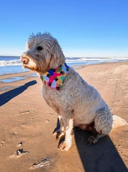 Dog Bandana