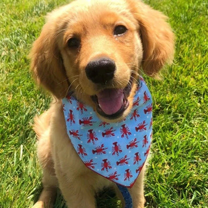 Dog Bandana