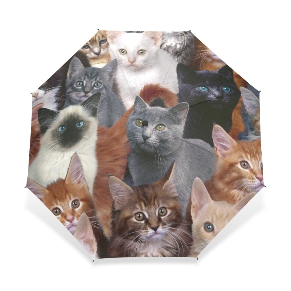 9lives Umbrella